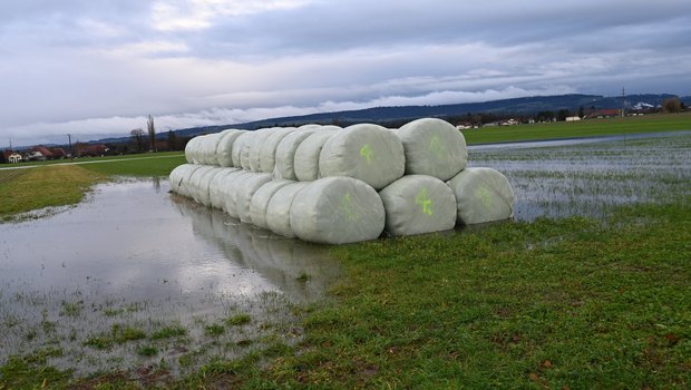 Diese Siloballen bei Jens im Berner Seeland, standen vor ein paar Tagen noch auf trockenem Untergrund. (Bild: Andrea Wyss)