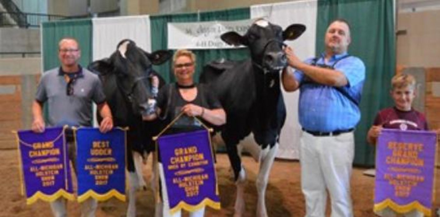 Die Siegerin (links) Hardys Atwood Singapore und die Reserve Stanshome Starstruck.