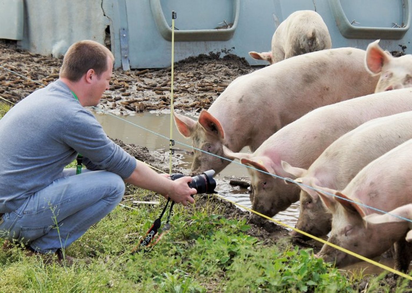 Bauernhof-Tiere, Pflanzen oder Kulturlandschaften. Solche Bilder sucht Agrimage.ch. (Bild lid)