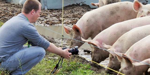 Bauernhof-Tiere, Pflanzen oder Kulturlandschaften. Solche Bilder sucht Agrimage.ch. (Bild lid)