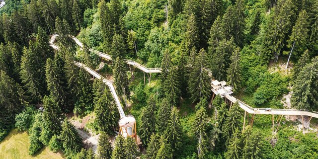 Üer 1,56 Kilometer schlängelt sich der neue Baumwipfelpfad «Senda dil Dragun» in Laax durch den Wald. (Bilder Philipp Ruggli)