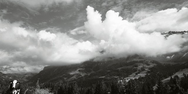 «Hier, an den Hängen rund um Trittschwendi, war sie inmitten ihrer Freunde»: Die verlorene Kuh hat sich für ihren Ausflug einen guten Platz ausgesucht. (Bild Pinaki)