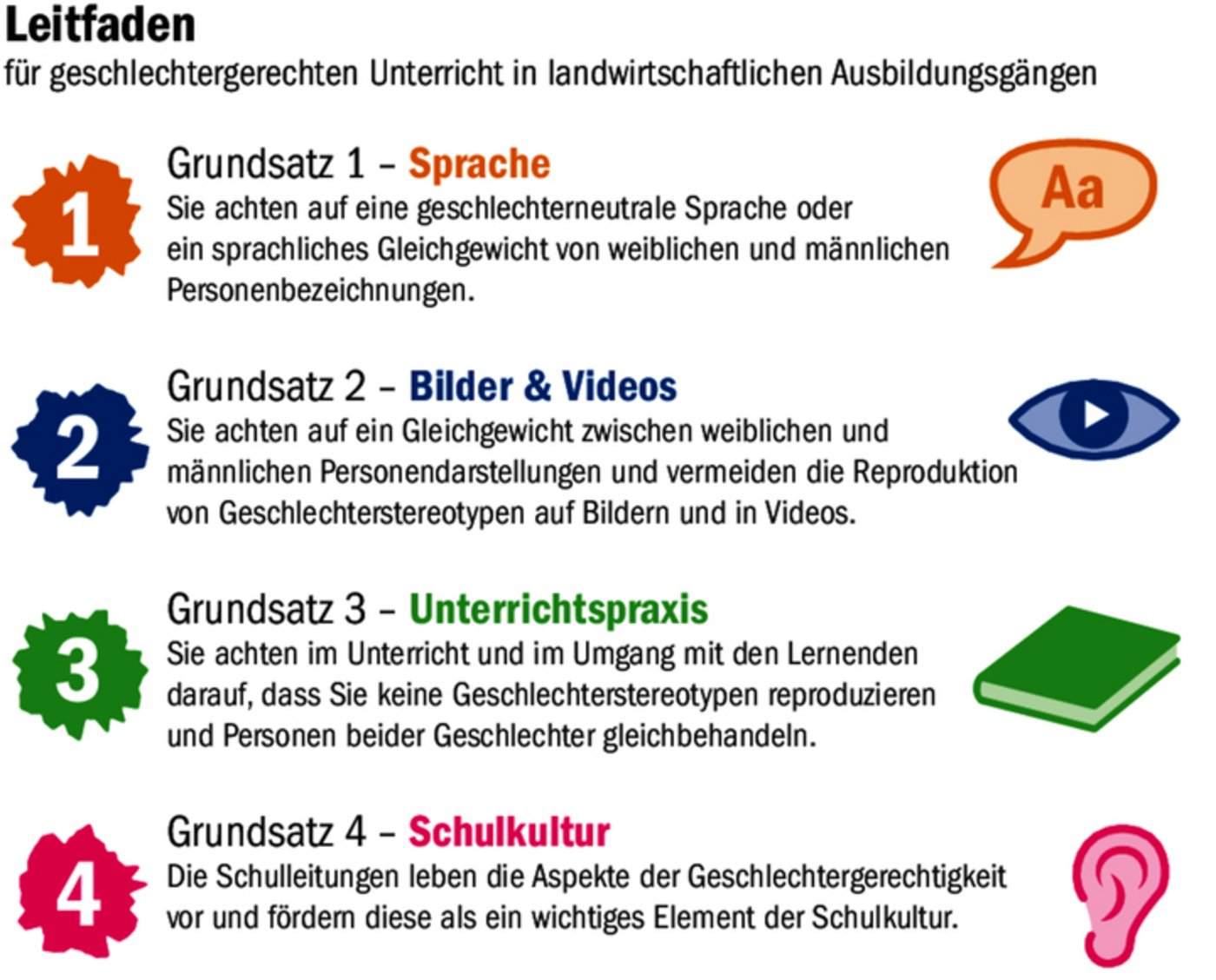 Der Leitfaden baut auf den vier Grundsätzen Sprache, Bilder und Videos, Unterrichtspraxis und Schulkultur auf.