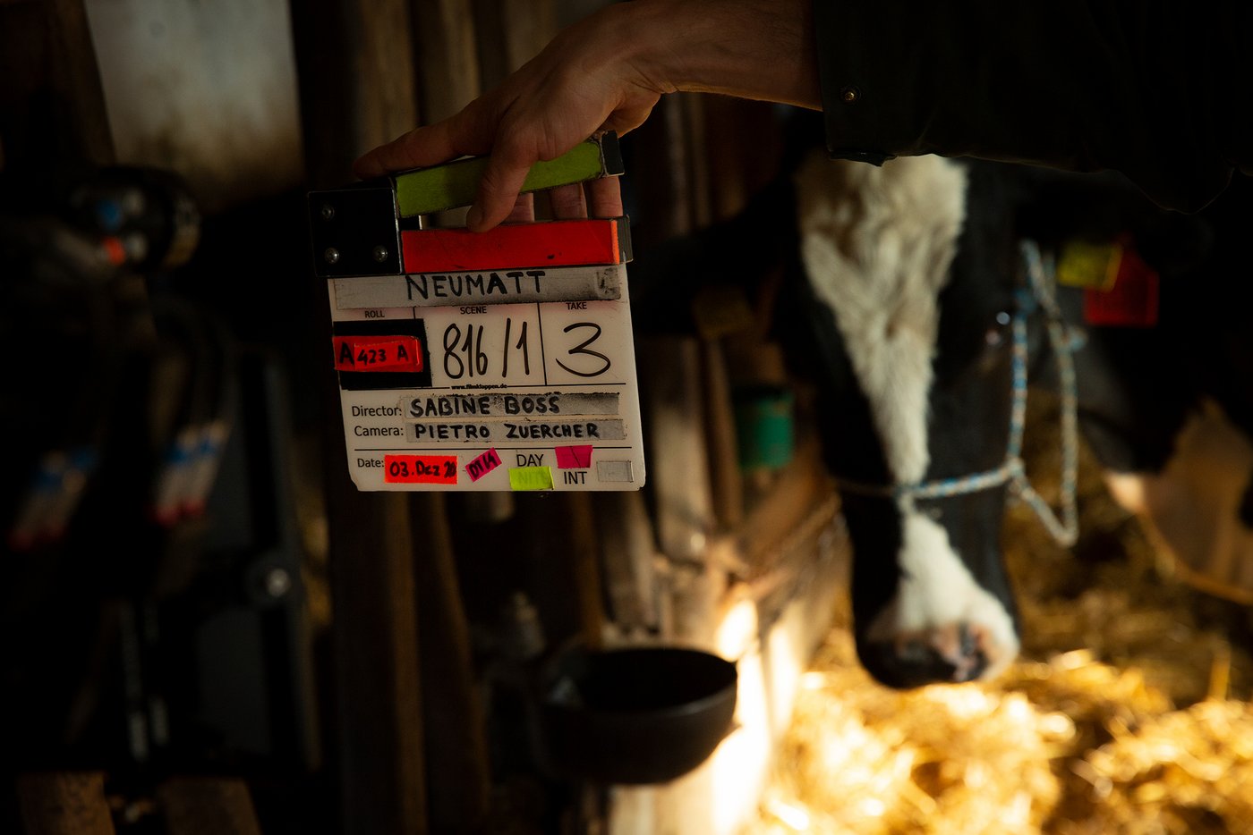 Der Hof, auf dem die Serie spielt, gehört der Familie Steiner. Eine ihrer Kühe spielt in der Serie «Neumatt» eine Hauptrolle. (Bild SRF/Eva Nussbaumer)