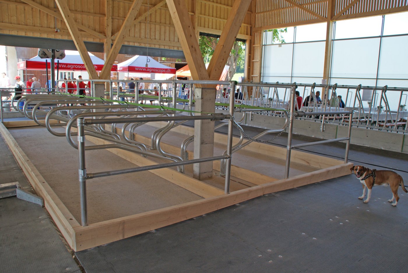 Ein Versuchsabteil mit 20 Liegeboxen. 