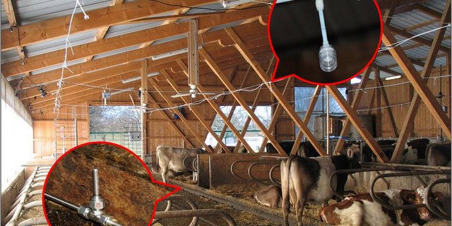 Mit den rot hervorgehebenen Einrichtungen werden die Emissionen gemessen. (Bild Agroscope/weitere Bilder Michael Götz)