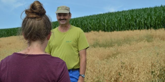 Konsumenten interessieren sich für die Landwirtschaft. Es lohnt sich gute Antworten bereit zu haben. (Bild asa)