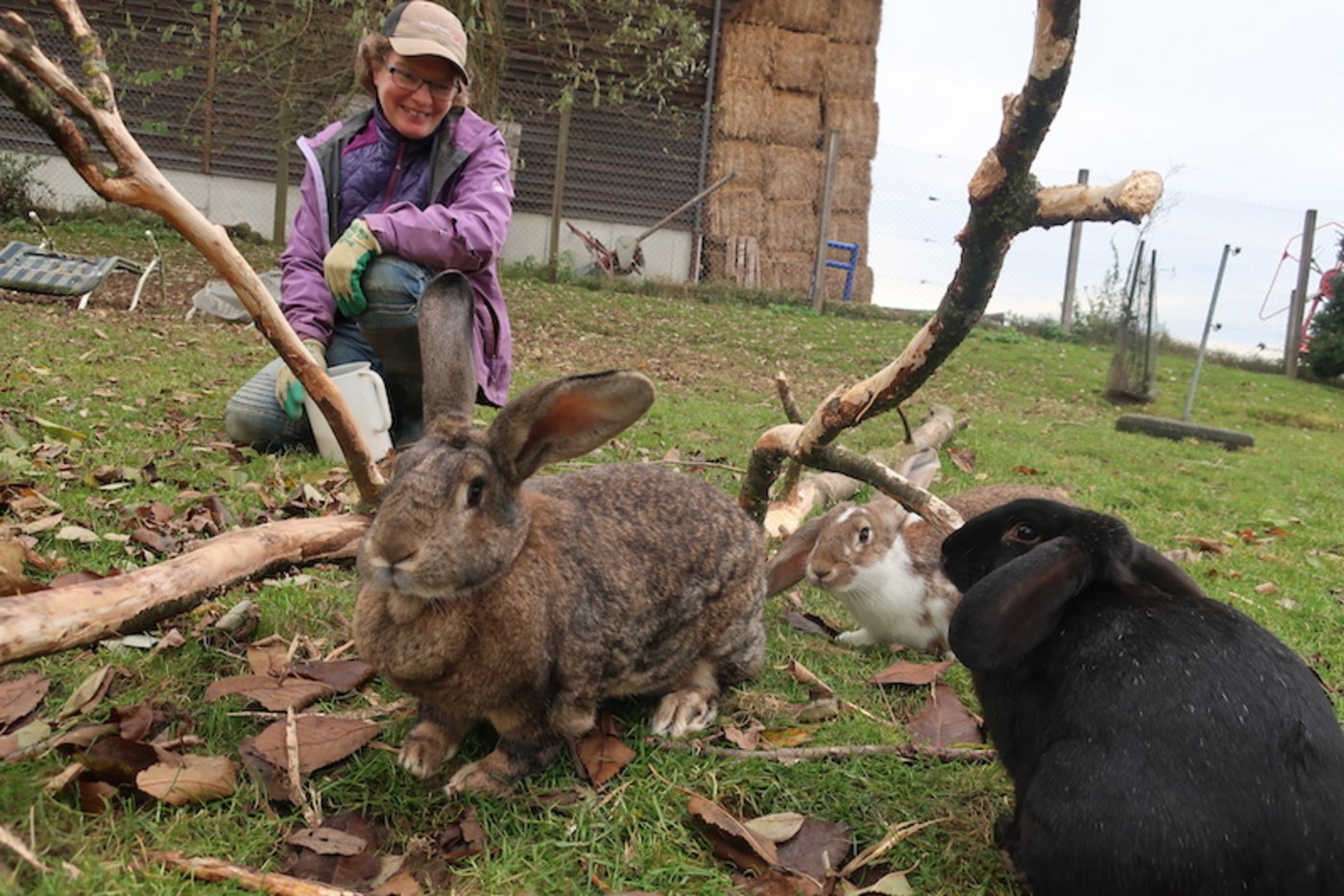 Bea Bachmann liebt Tiere. Hier ihre Hasen.