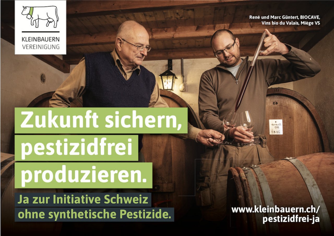 «Wir sind der Beweis, dass man auch ohne synthetische Mittel anständige Produkte herstellen kann», sagen René und Marc Güntert vom Walliser Weingut Biocave. (Bild VKMB) 
