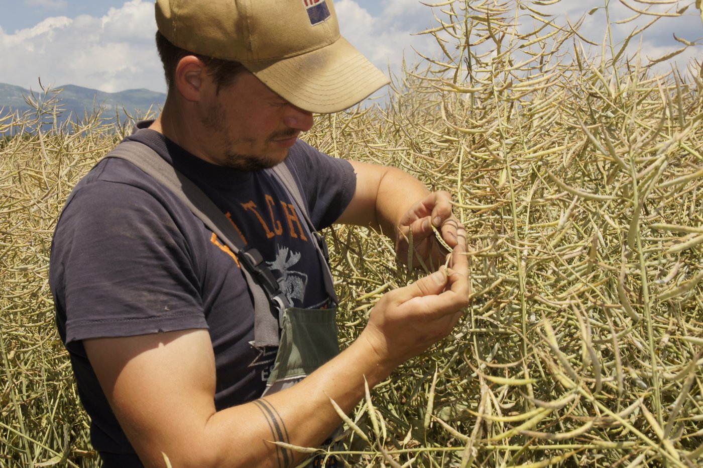 Täglich kontrolliert Seiler die Felder. 