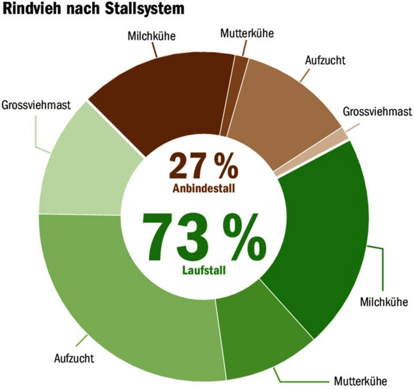 Knapp 30 Prozent der Rinder in der Schweiz werden in einem Anbindestall gehalten. Der grösste Anteil sind Milchkühe.