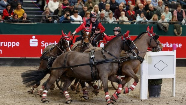 Mit vier Freiberger Stuten gewinnt Jérôme Voutaz sein erstes Weltcupfahren. (Bild Sportfotos-Lafrentz.de)