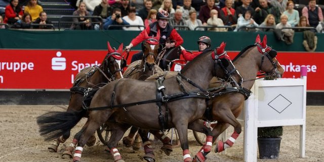 Mit vier Freiberger Stuten gewinnt Jérôme Voutaz sein erstes Weltcupfahren.  (Bild Sportfotos-Lafrentz.de)