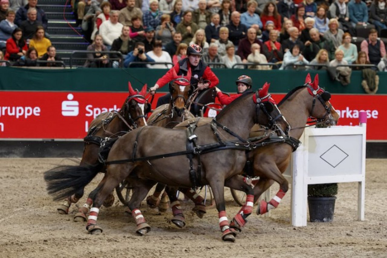 Mit vier Freiberger Stuten gewinnt Jérôme Voutaz sein erstes Weltcupfahren. (Bild Sportfotos-Lafrentz.de)