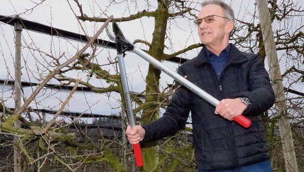 Othmar Eicher legt ein letztes Mal Hand in der Liebegger Obstanlage an. Die Baumschere bekam er zum Abschied.