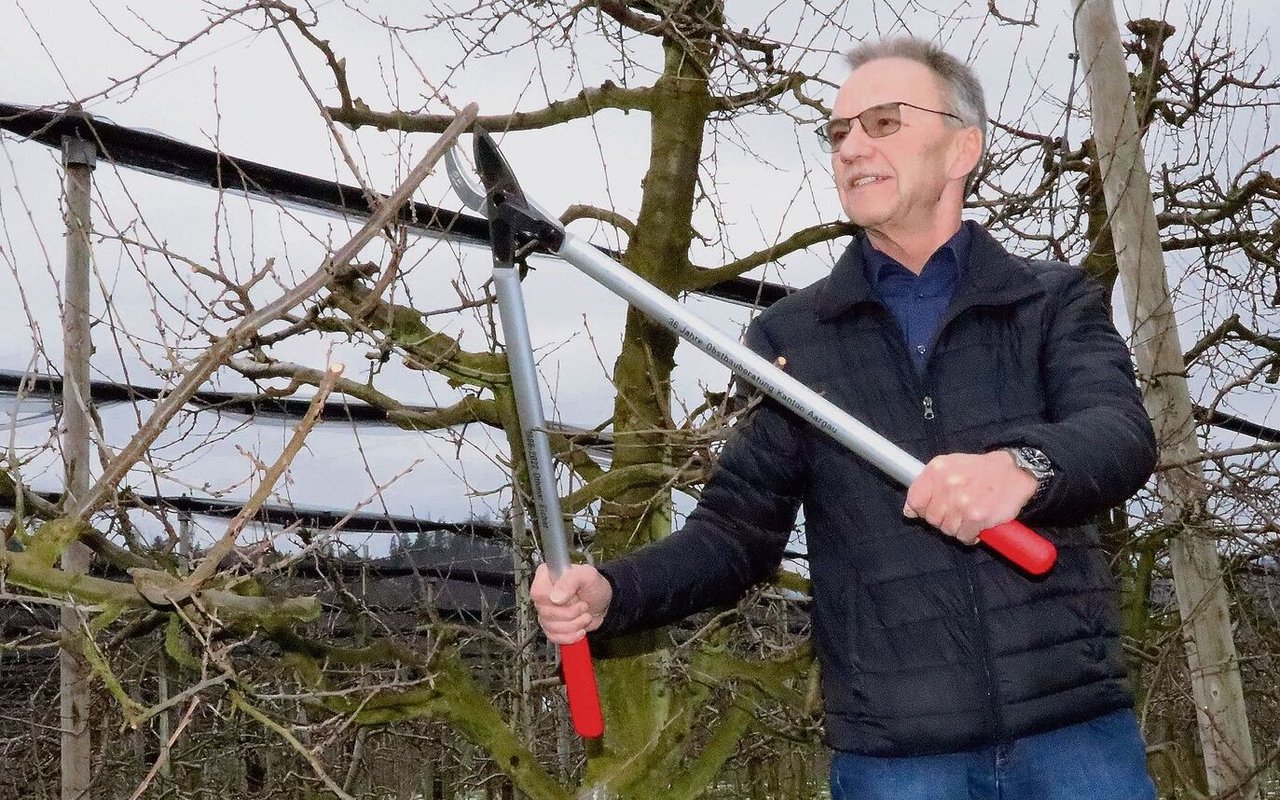 Othmar Eicher legt ein letztes Mal Hand in der Liebegger Obstanlage an. Die Baumschere bekam er zum Abschied.