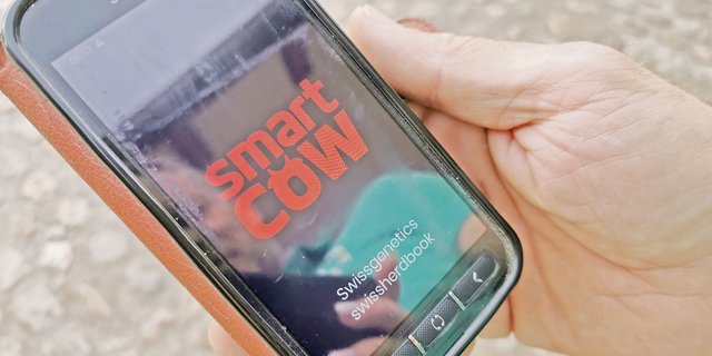 Die Digitalisierung hat viele Facetten, eine davon ist die Aufzeichnung der Betriebsdaten in Systemen wie «Smart Cow». Weitere werden folgen. (Bild sb)