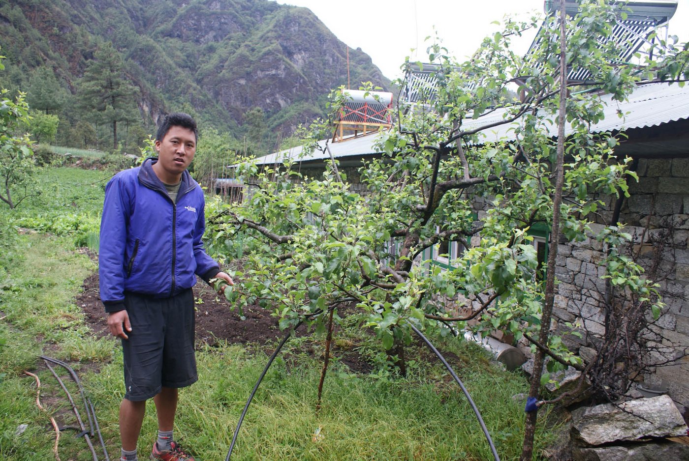 Die Apfelbäume gedeihen gut, wie Pempa Dorsi zeigt. Auf dem Dach des Gästehauses sind Sonnenkollektoren für die Gewinnung von Warmwasser installiert. 