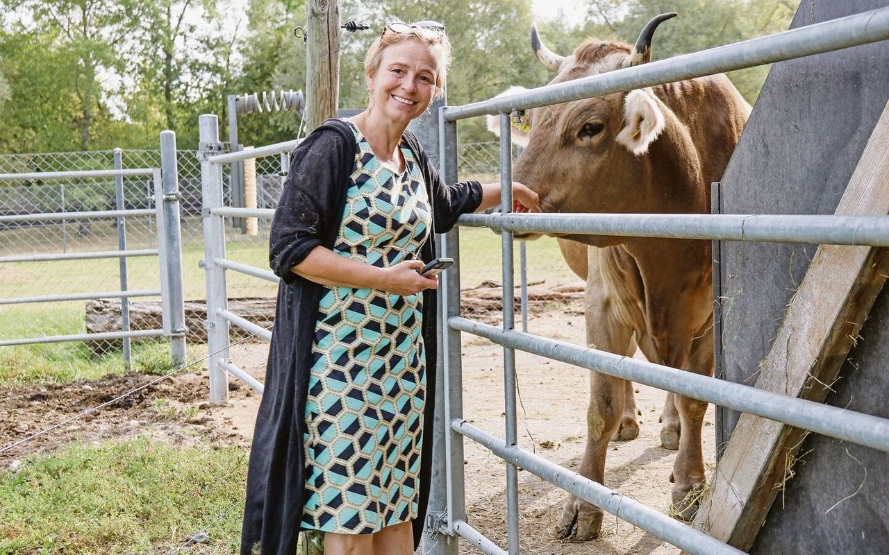 Auf dem Areal von IVI leben zwei Braunviehkühe als Blutspendetiere. «Ihnen stehen ein grosser Stall und eine grosszügige Wiese zur Verfügung», sagt Barbara Wieland.