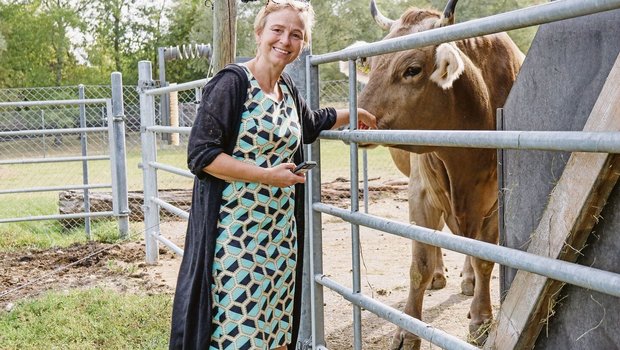 Auf dem Areal von IVI leben zwei Braunviehkühe als Blutspendetiere. «Ihnen stehen ein grosser Stall und eine grosszügige Wiese zur Verfügung», sagt Barbara Wieland.