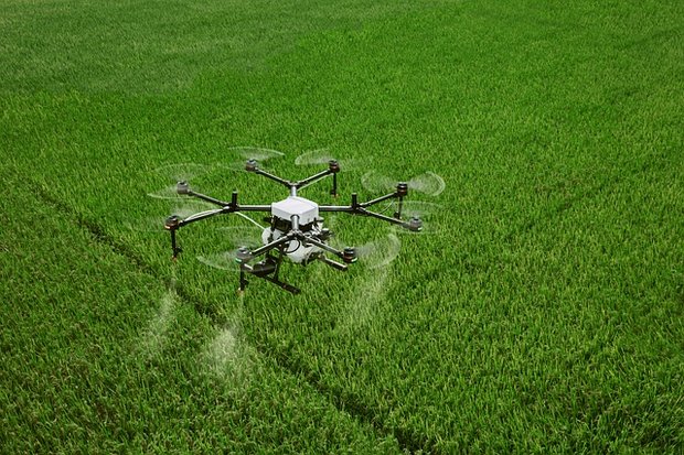 Mit Drohnen werden Nützlinge und Saatgut aus luftiger Höhe ausgebracht. (Bild: BauZ)