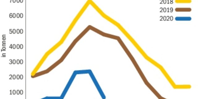 Am 9. Juli befanden sich noch 588 Tonnen Butter in den Lagern, fast 4000 Tonnen weniger als im Vorjahr.(Grafik Nicole Geiser, Quelle BOB)