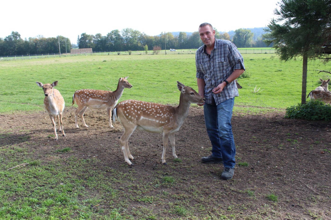 Martin Schurter legt viel Wert auf Kontakt mit seinen Tieren.