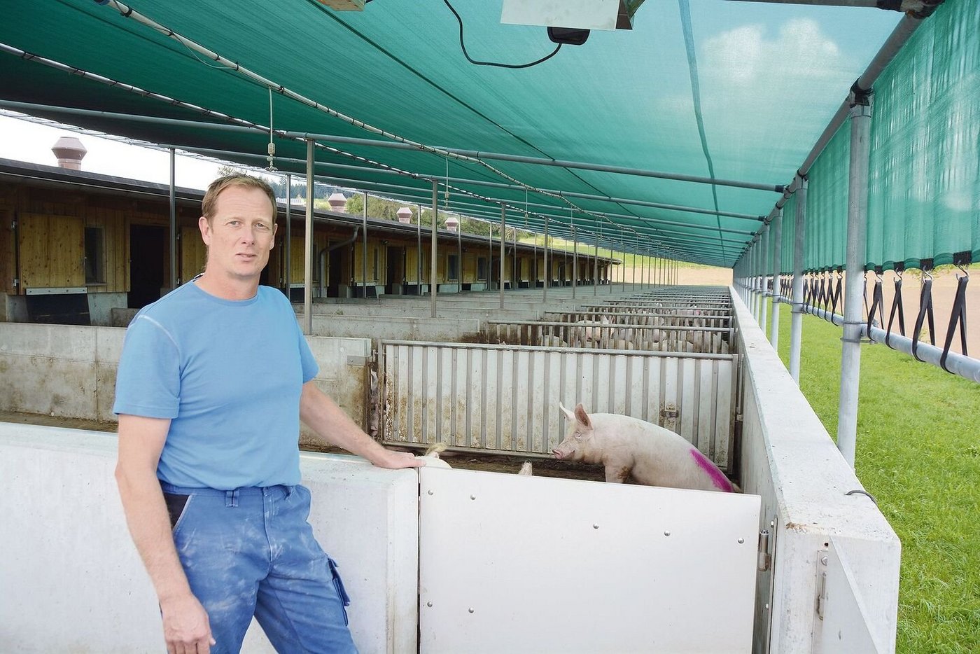 Franz Bucher vor dem 2017 gebauten Schweinemaststall. Oberhalb der 15 Buchten ist eine Beschattung mit Gefälle und Abstand zur Scheune aufgespannt.