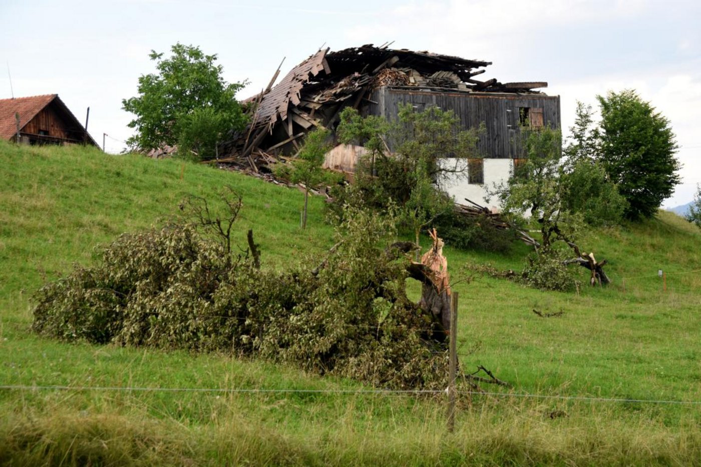 Umgestürtze Bäume bei der Scheune.