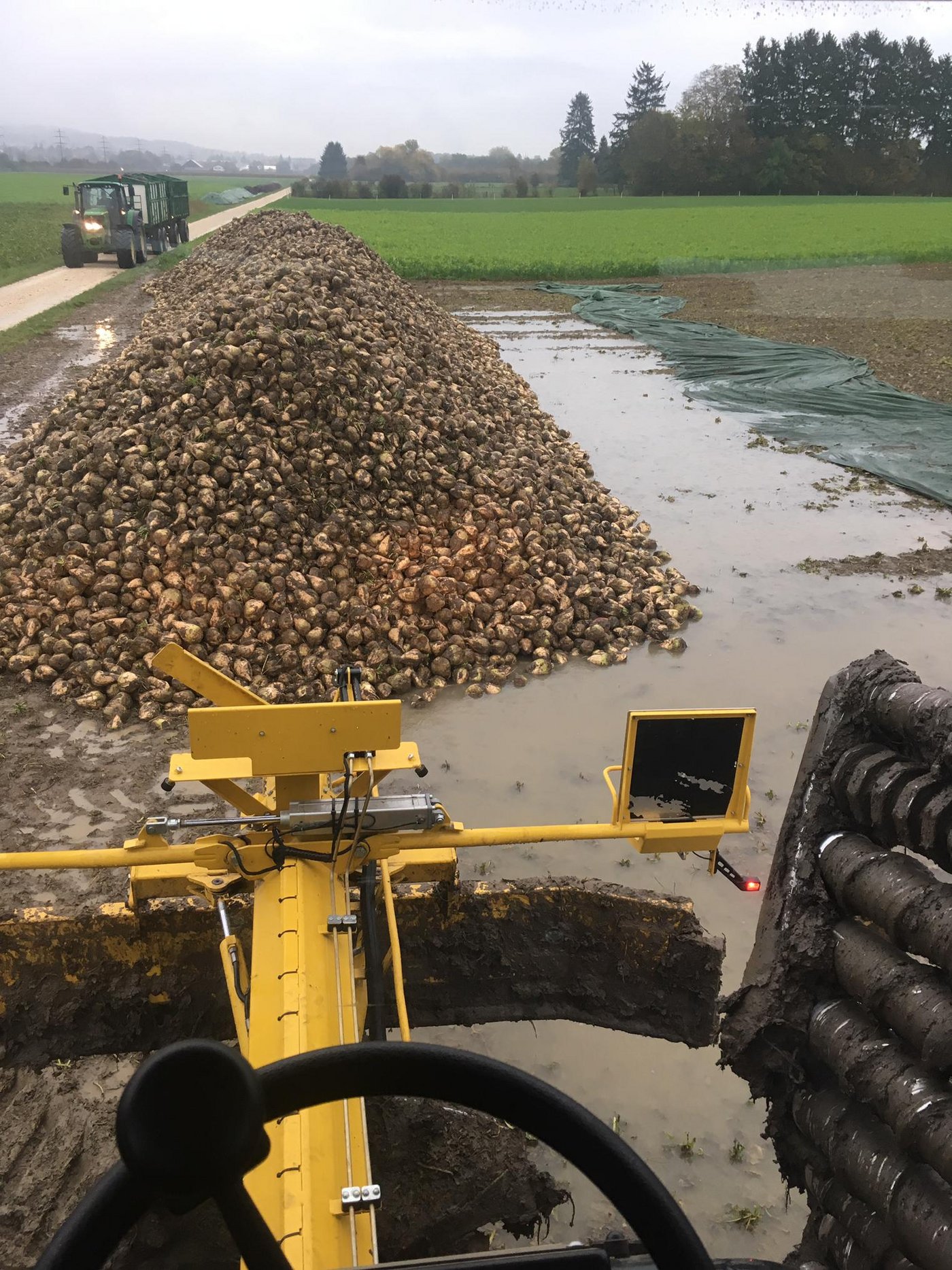 Im Seeland stehen schon viele Felder unter Wasser. (Bild Dominik Hänni, Rübenring Seeland)