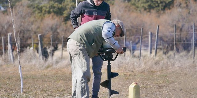 Egon Tschol fand die richtige Pflanztechnik, um die Bäume in kurzer Zeit zu pflanzen.