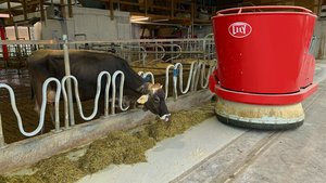 Selbstfahrende Fütte Selbstfahrende Fütterungsroboter wie der Vector von Lely kosten – können aber auch grosse Einsparungen ermöglichen.