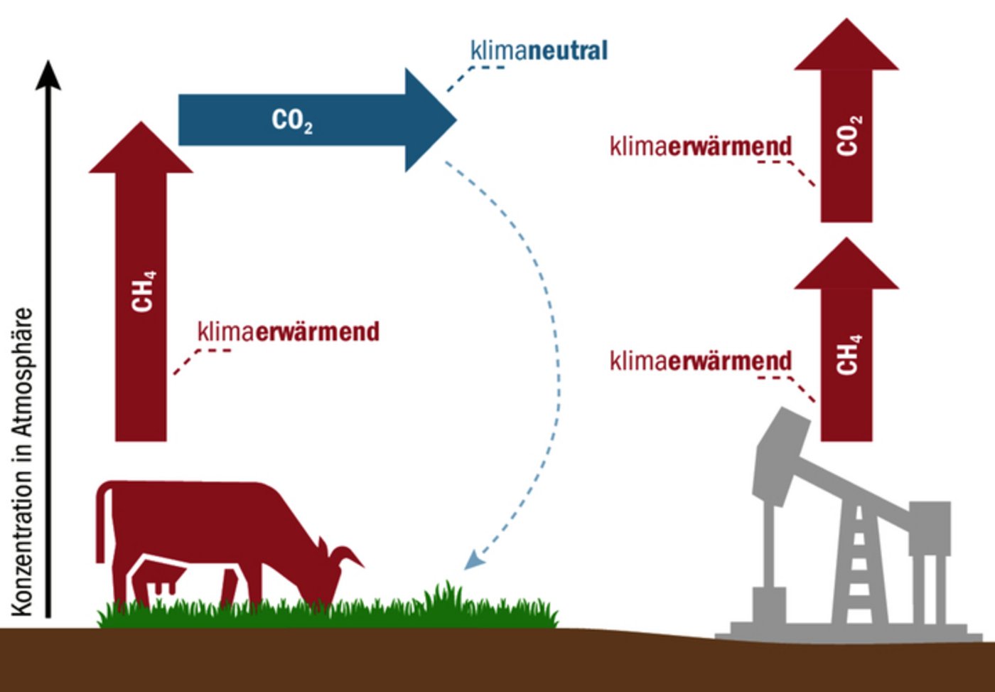 Biogenes Methan wirkt weniger klimaschädigend als fossiles, weil beim Zerfall entstehendes CO2 via Fotosynthese Teil des Kohlenstoffkreislaufs ist.