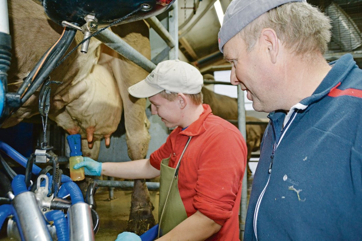 Daniel Wicki, 2. Lehrjahr, mit Berufsbildner Josef Schmid im Melkstand. Nebst Wicki wird auch ein Zweitausbildner auf dem Hof im Entlebuch ausgebildet. (Bild Armin Emmenegger)