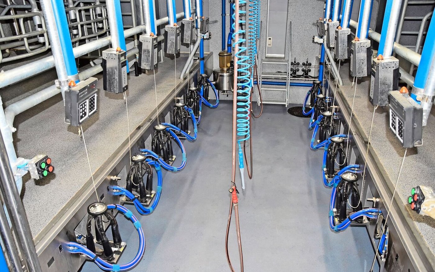 Gemolken werden die Kühe in einem 2x6-DeLaval-Melkstand. Die Tiere hätten sich schnell daran gewöhnt.