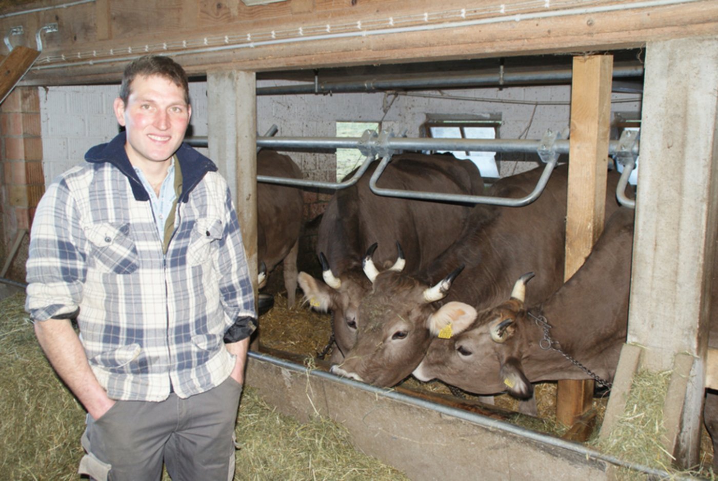 Michael Raschle setzt auf Original Braunvieh, obwohl sie weniger Milch geben.