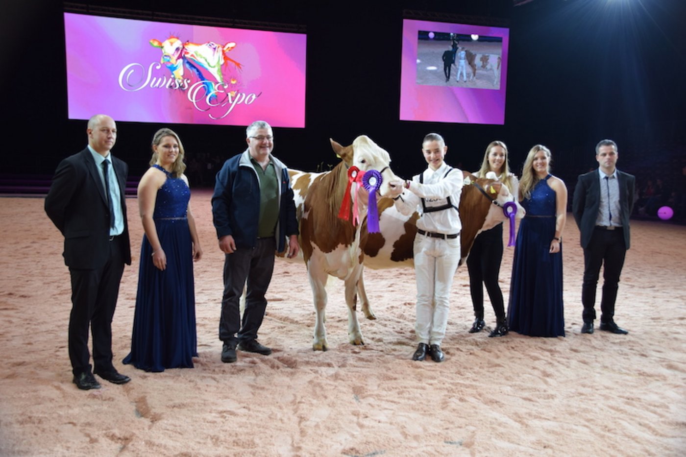 Rinderchampion bei den Montbéliarde wurde das Rind Impec Histoire (links) von Werner Winkler, Fontenais VD. Den Vize-Titel holte Mercury Moustache, Pierre Guignard, Rances VD.