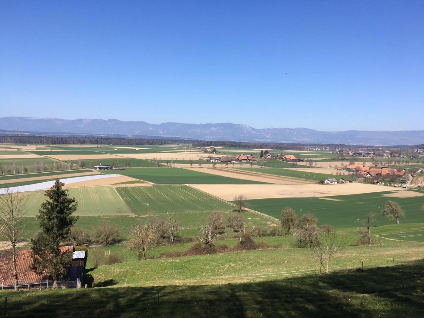 Heute stehen 13,4 Prozent der Schweiz flächenmässig unter Schutz. Neben mehr bzw. grösseren Schutzgebieten sollen die Lebensräume auch besser vernetzt werden. (Bild jsc)