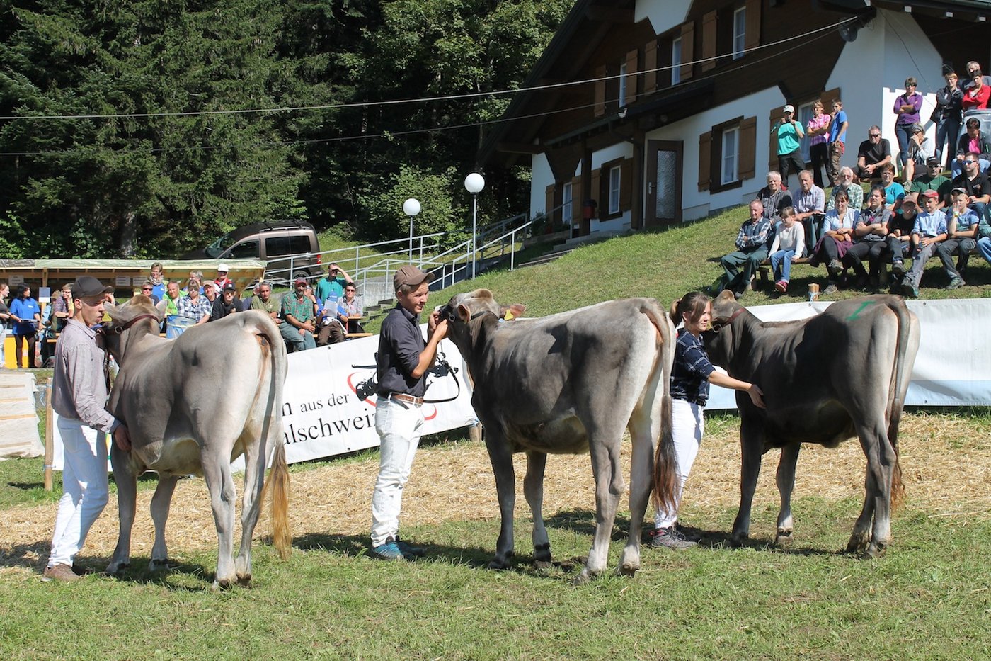 Die vielversprechenden Jungzüchter mit (v. l.): Jill (3.), Albina (2.) und Gardena (1.).