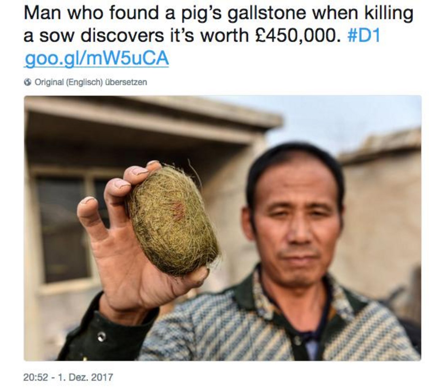 Bauer Bo Chunlou mit dem Bezoar, den er in der Gallenblase seiner Sau gefunden hat. (Bild Twitter/@Report_UK)