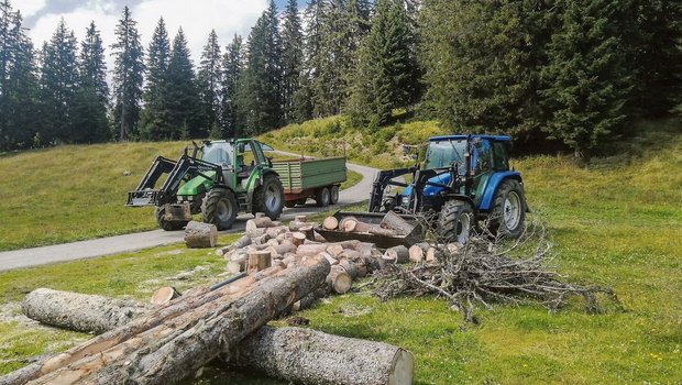 Marina lädt die Holztremmel auf den Anhänger und Toni führt das Holz zur Hütte.