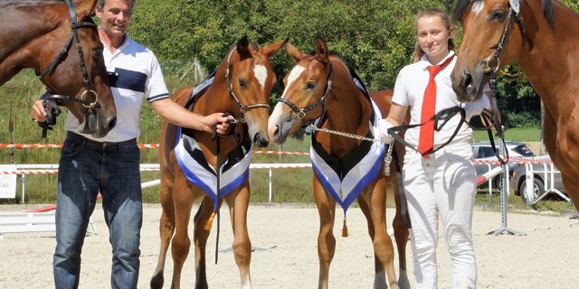 Gesamtchampion Nemo vom Rugen von Familie Holzherr (links) und Gangchampion Hieronymus von Werner Pfister. (Bild Ruth Aerni)