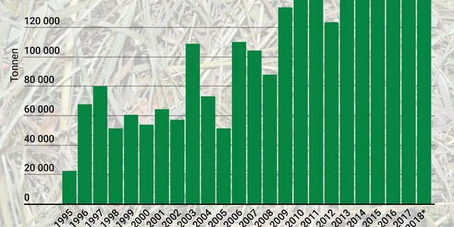 In den ersten neun Monaten des laufenden Jahres wurde laut Zahlen der Eidgenössischen Zollverwaltung bereits mehr Heu eingeführt als in allen Gesamtjahren seit 1995. (Grafik lid)