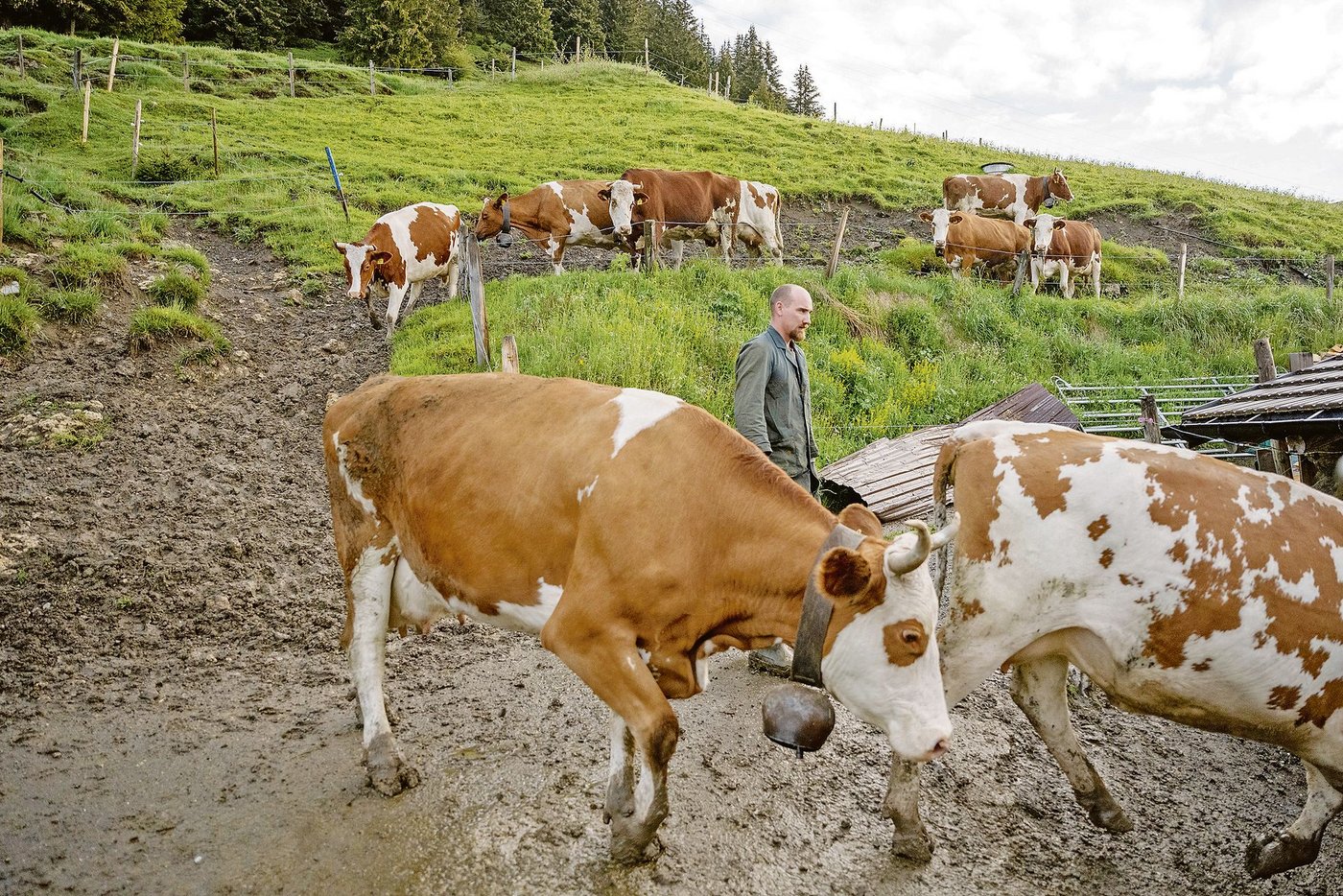 Im Sommer ist Benjamin Dubosson in erster Linie Älpler und Käser, die Joghurts fertigen Mitarbeitende und seine Eltern.