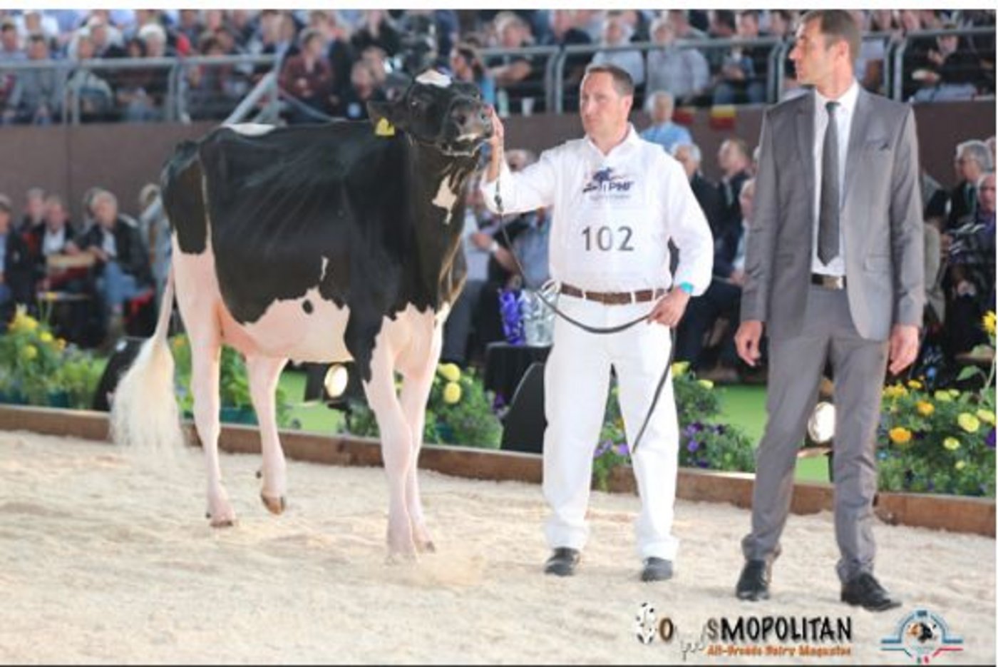 Die Siegerin in der Kat. 1: Bon-Holstein Lauthority Koba, Bons Holstein (Holland). (Bild Cowsmopolitan)