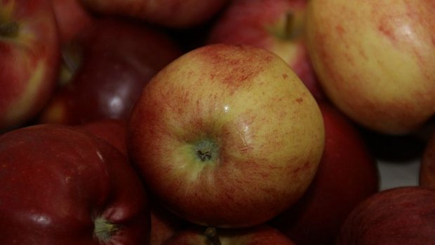 Apfel-Lager leeren sich Die Lager der letzten Ernte leeren sich. (Bild lid)