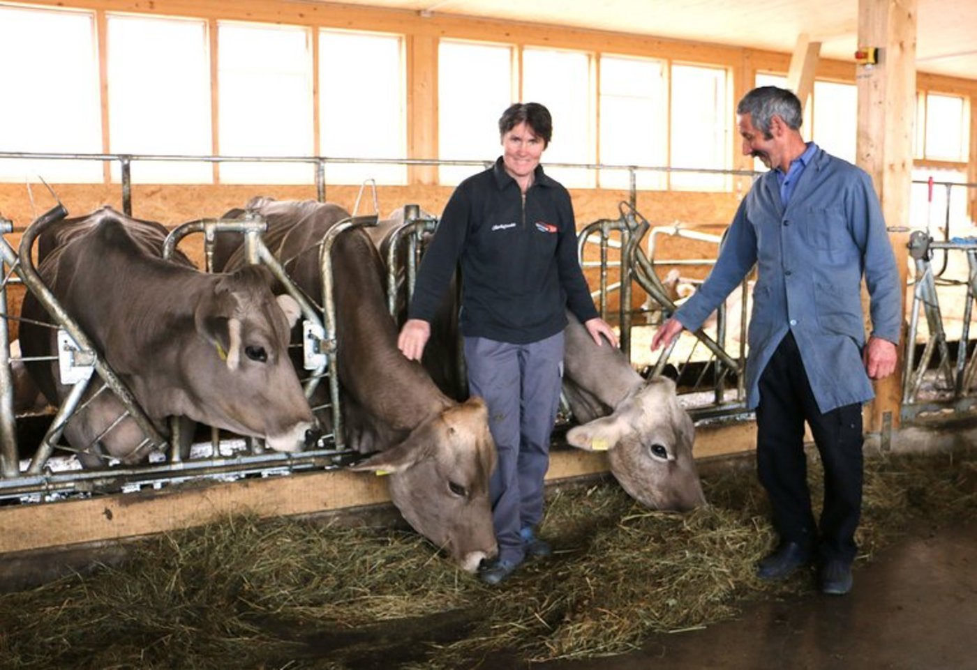 Bio Bauernhof im Graubünden Kühen Den Tieren ist es wohl - und den angehenden Biobauern Kesslers offenbar auch. Allerdings sind die Kühe in Zukunft nicht mehr braun ... (Bild Eveline Dudda)