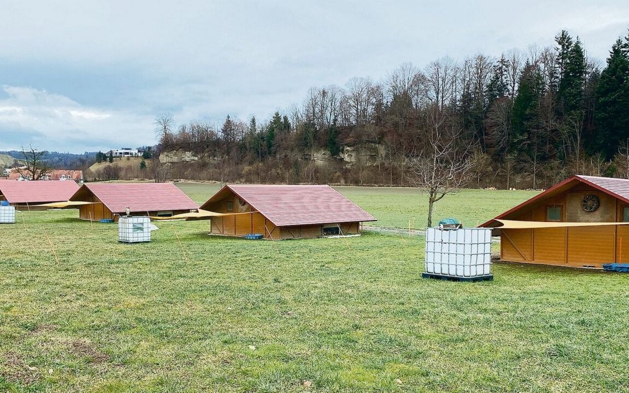 Die mobilen Hütten mit viel Auslauf für die Hühner am Stadtrand von Willisau. 