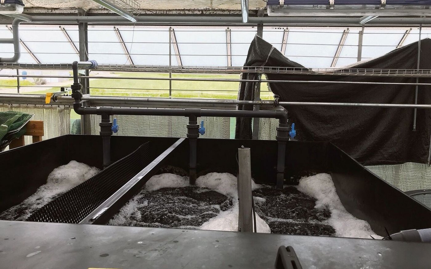 Der Baustart für die Fischzuchtanlage in Mollis erfolgt 2023. Die abgebildete Anlage gehört zur ZHAW in Wädenswil. 