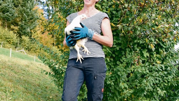 Strahlefrau mit Huhn: Silvia Stucki fängt seit sieben Jahren regelmässig Mastpoulets ein – manchmal auch mitten in der Nacht. (Bilder Monika Studer)